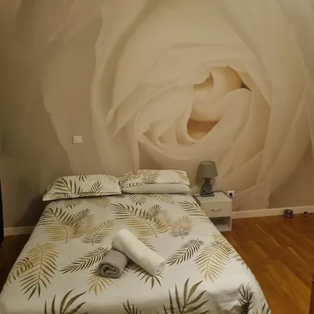 Summit Guest house *